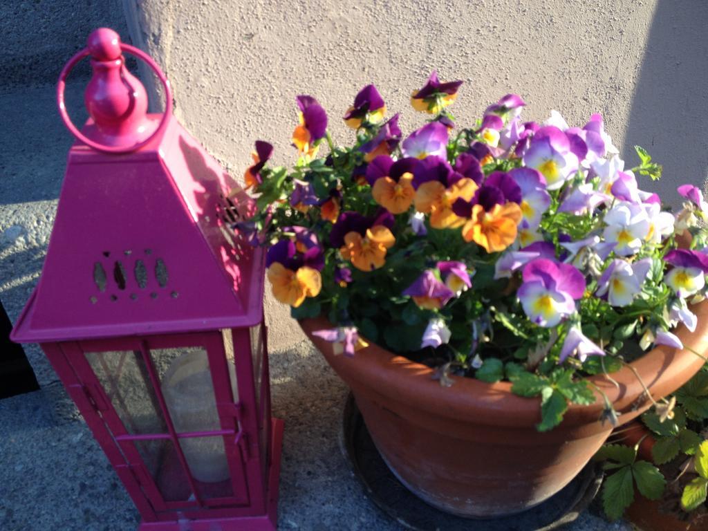 B&B La Vie En Rose Basel Ngoại thất bức ảnh