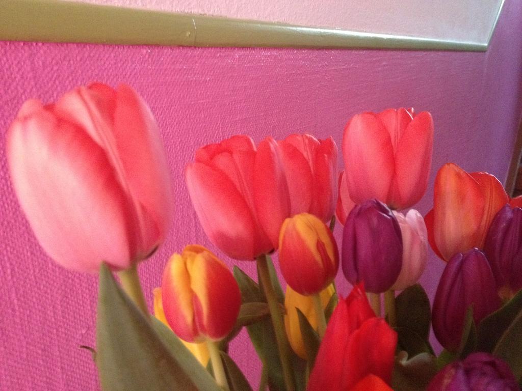 B&B La Vie En Rose Basel Ngoại thất bức ảnh